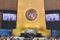 Đại sứ Đặng Hoàng Giang phát biểu tại một phiên họp của Đại hội đồng Liên hợp quốc. (Ảnh minh họa. Nguồn: TTXVN)