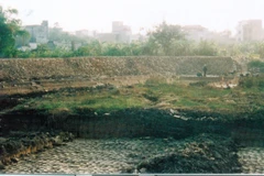 Ủy ban Nhân dân quận Long Biên đã cung cấp nhiều hình ảnh được chụp lại từ ruộng sản xuất nông nghiệp vào năm 2004, trước 1 năm khi được thuê thầu vào năm 2005. (Ảnh: TTXVN phát)