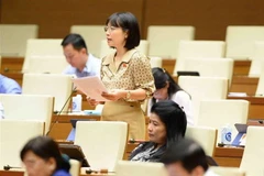 Đại biểu quốc hội tỉnh Hải Dương Nguyễn Thị Việt Nga phát biểu. (Ảnh: Minh Đức/TTXVN)