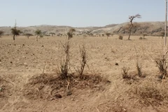 Hạn hán ở Ethiopia. (Nguồn: Helpage.org)