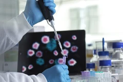 Ảnh minh họa. (Nguồn: Getty Images)