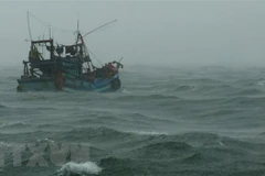 Ảnh minh họa. (Nguồn: TTXVN)