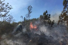 Một góc hiện trường vụ cháy rừng tại bản Nà Nọi 2 (xã Nà Nhạn, thành phố Điện Biên Phủ, tỉnh Điện Biên) nhìn từ lõi hiện trường vụ cháy. (Ảnh: Xuân Tiến/TTXVN)