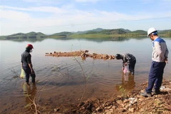 Lực lượng chức năng tiến hành thu gom và xử lý môi trường tại khu vực hồ Bộc Nguyên. (Ảnh: Hoàng Ngà/TTXVN)