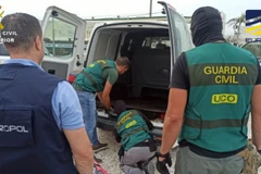 Chiến dịch quốc tế có sự phối hợp của cảnh sát Tây Ban Nha, Hà Lan, Ireland và Cơ quan chống tội phạm quốc gia Anh. (Nguồn: Thejournal)