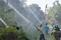 Ban quản lý Vườn Quốc gia U Minh Hạ thường xuyên tổ chức các đợt diễn tập phòng cháy chữa cháy cho cán bộ, lực lượng bảo vệ rừng tại đơn vị. (Ảnh: Huỳnh Anh/TTXVN)