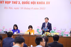 Tổng Thư ký Quốc hội, Chủ nhiệm Văn phòng Quốc hội Bùi Văn Cường trả lời các câu hỏi của phóng viên. (Ảnh: Văn Điệp/TTXVN)