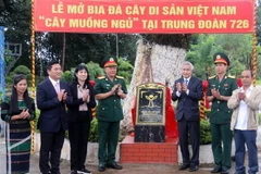 Lễ mở bia đá cây di sản Việt Nam tại Trung đoàn 726. (Ảnh: TTXVN phát)