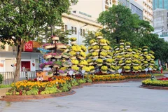 Tiểu cảnh tầng tầng, lớp lớp hoa tươi tạo điểm nhấn ấn tượng ven lối đi trên Đường hoa Nguyễn Huệ Tết Nhâm Dần 2022. (Ảnh: Mỹ Phương/TTXVN)