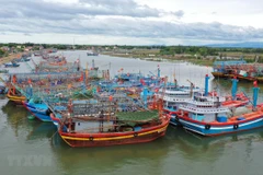 Tàu thuyền neo đậu tránh trú bão. (Ảnh minh họa: TTXVN)