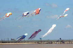 Các cánh diều tại Liên hoan diều toàn quốc lần thứ hai. (Ảnh: Thế Duyệt/TTXVN)