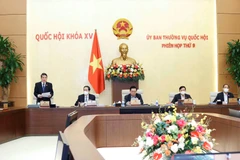 Phó Chủ tịch Quốc hội Nguyễn Đức Hải phát biểu. (Ảnh: Doãn Tấn/TTXVN)