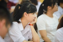 Ảnh minh họa. (Nguồn: Vietnam+)
