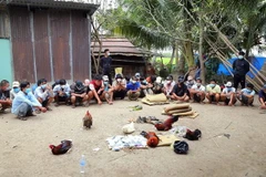 Tang vật và các đối tượng bị bắt quả tang khi đang đá gà ăn tiền. (Ảnh: TTXVN phát)