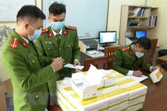 Thu giữ số kit test nhanh COVID-19 không rõ nguồn gốc. (Ảnh minh họa. Nguồn: TTXVN)