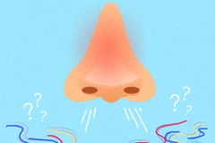 Ảnh minh họa. (Nguồn: Esquire.com)