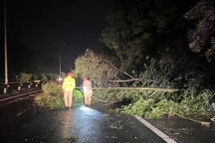 Lực lượng chức năng khắc phục sự cố. (Nguồn: VOV Giao thông)