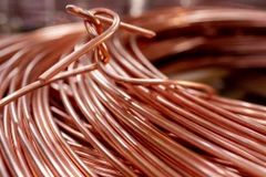 Ảnh minh họa. (Nguồn: FT)