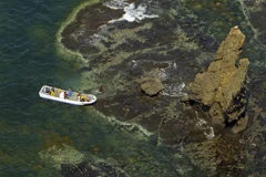 Tàu cứu hộ tham gia tìm kiếm nạn nhân sau vụ chìm tàu du lịch Kazu I ở ngoài khơi bán đảo Shiretoko, Nhật Bản. (Ảnh: Kyodo/TTXVN)