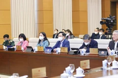 Đại biểu dự phiên họp. (Ảnh: Doãn Tấn/TTXVN)