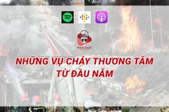 (Nguồn: Vietnam+)