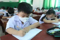 Ảnh minh họa. (Nguồn: TTXVN)