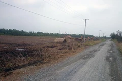 Chòi giữ đất - nơi diễn ra cuộc nhậu. (Nguồn: Báo Lao động)