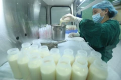 Nhân viên y tế Ngân hàng sữa mẹ thực hiện quy trình bảo quản sữa. (Ảnh: Minh Quyết/TTXVN)