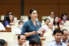 Đại biểu Quốc hội tỉnh Tuyên Quang Ma Thị Thúy phát biểu ý kiến. (Ảnh: Phạm Kiên/TTXVN)