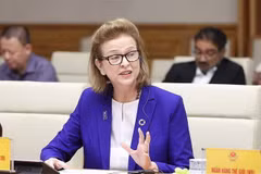 Bà Caitlin Wiesen, Trưởng Đại diện thường trú Chương trình Phát triển Liên hợp quốc (UNDP) tại Việt Nam. (Ảnh: Dương Giang/TTXVN)