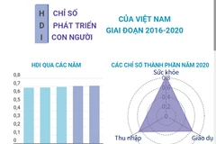 Chỉ số phát triển con người của Việt Nam giai đoạn 2016-2020.