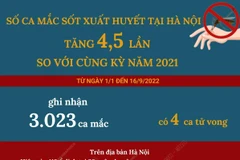 Số ca mắc sốt xuất huyết tại Hà Nội tăng gấp 4,5 lần.