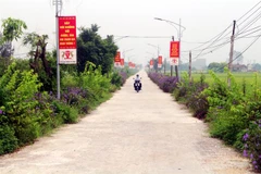 Đường giao thông nông thôn. (Ảnh minh họa. Nguồn: TTXVN)