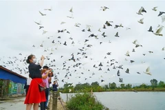 Các đại biểu tham gia trải nghiệm khu du lịch đảo Bầu, huyện An Lão, Hải Phòng. (Ảnh: TTXVN)