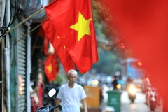 Ảnh minh họa. (Nguồn: TTXVN)