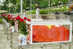 Ảnh minh họa. (Nguồn: TTXVN)