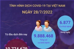Tình hình dịch COVID-19 ngày 28/7.