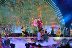 Tiết mục 'Tiếng đờn ca mùa nước nổi.' (Ảnh: Thanh Liêm/TTXVN)