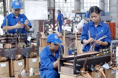 Sản xuất thiết bị điện tại Công ty cổ phần chế tạo điện cơ Hà Nội. (Ảnh: Minh Đông/TTXVN)