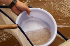 (Ảnh minh họa: Vũ Sinh/TTXVN)