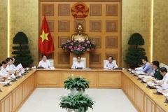 Phó Thủ tướng Vũ Đức Đam phát biểu chỉ đạo. (Ảnh: Lâm Khánh/TTXVN)