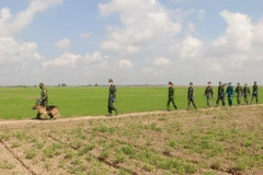 Cán bộ, chiến sỹ phòng, chống dịch COVID-19 số 4 của Đồn Biên phòng quốc tế Vĩnh Xương (Bộ đội Biên phòng tỉnh An Giang) tuần tra, kiểm soát đường mòn lối mở ở khu vực biên giới, ngăn không cho người dân xuất, nhập cảnh trái phép. (Ảnh: Công Mạo-TTXVN)