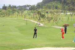 (Ảnh minh họa: Ninh Đức Phương/TTXVN)