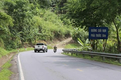 (Ảnh minh họa: Xuân Tiến/TTXVN)