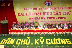 Đại hội thông qua Nghị quyết phát triển kinh tế-xã hội nhiệm kỳ 2020-2025. (Ảnh: Lê Đức Hoảnh/TTXVN)