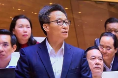 Phó Thủ tướng Vũ Đức Đam trên nghị trường sáng nay, ngày 4/11. (Ảnh: Xuân Mai/Vietnam+)