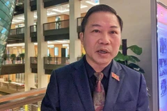 Đại biểu Lưu Bình Nhưỡng. (Ảnh: Xuân Mai/Vietnam+)