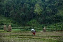 [Mega Story] Hành trình đem "nước sạch" đến với bà con dân bản