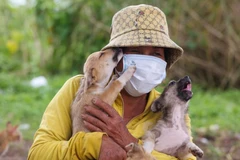 [Mega Story] Người đàn bà nghèo cưu mang bầy chó hoang giữa mùa dịch