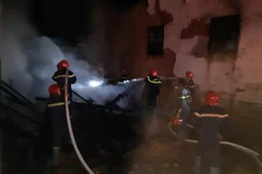 (Ảnh minh họa: Đậu Tất Thành/TTXVN)